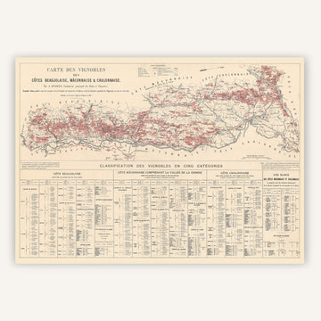 Affiche Vignobles des Côtes Beaujolaise, Mâconnaise et Chalonnaise 1901 - Cartopolo