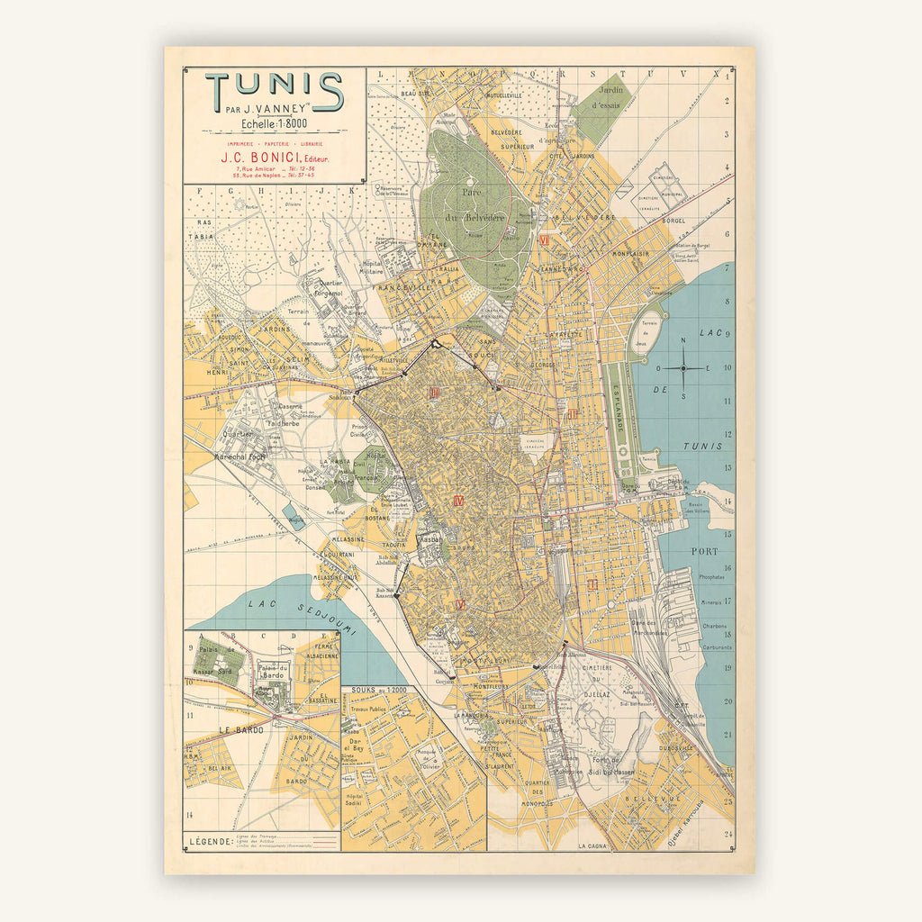 Affiche vintage Tunis 1934 - Cartopolo